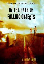 In the Path of Falling Objects book cover (Image Source: https://images.gr-assets.com/books/1317793301l/6064034.jpg)