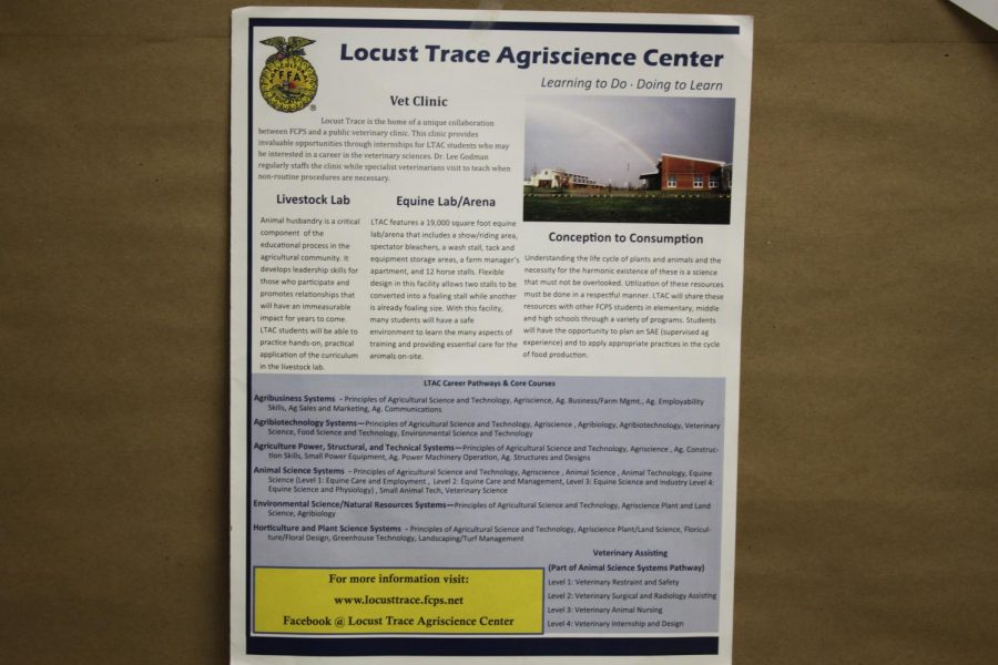 The Information on Locust Trace and what they provide. 