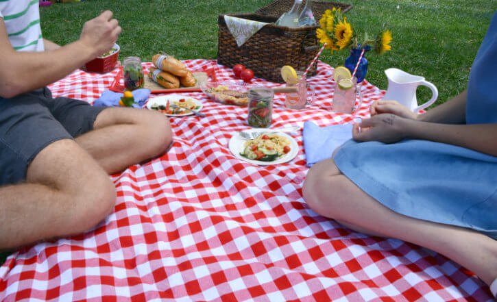 Picnic Pussy