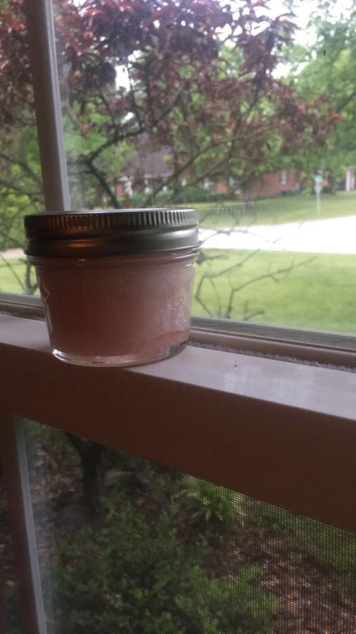 Here is an example of what your DIY sugar scrub will look like!