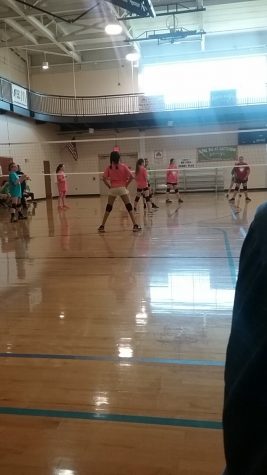 Falling Springs Volleyball Camp