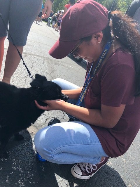 Ariana Disciplina loving one of the many puppies that are at the festival 
