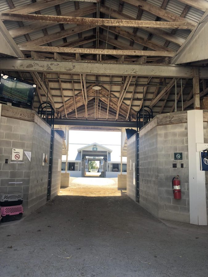 A view from the stalls that provide shelter to horses throughout the racing season. 