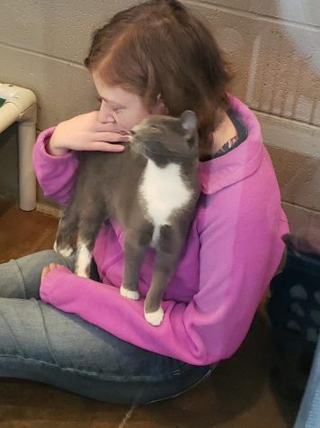 Adopt, Don’t Shop