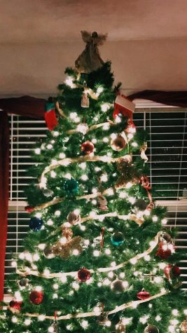What Makes a Christmas Tree in My Family