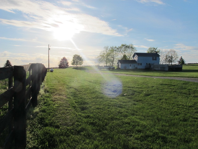 On the Bend of the Elkhorn Creek