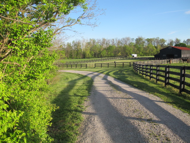 On the Bend of the Elkhorn Creek