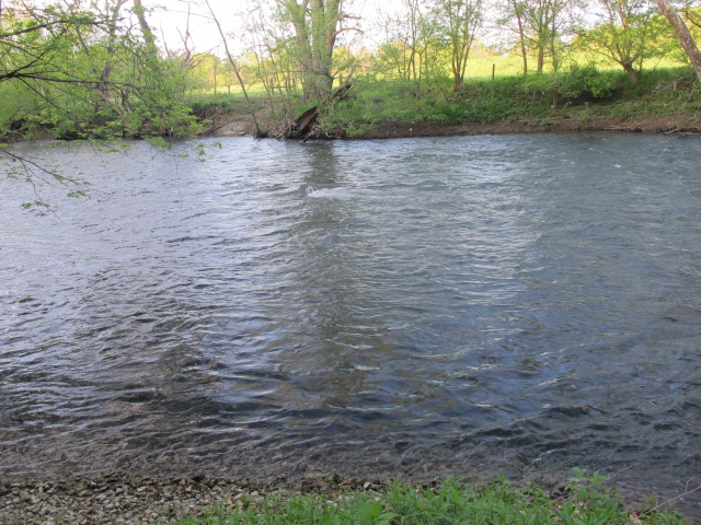 On the Bend of the Elkhorn Creek