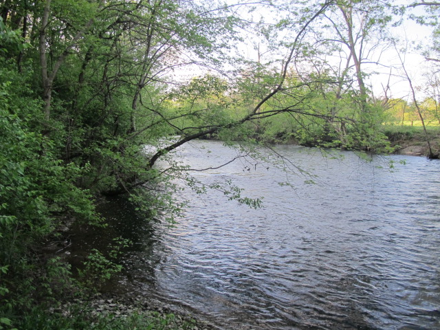 On the Bend of the Elkhorn Creek