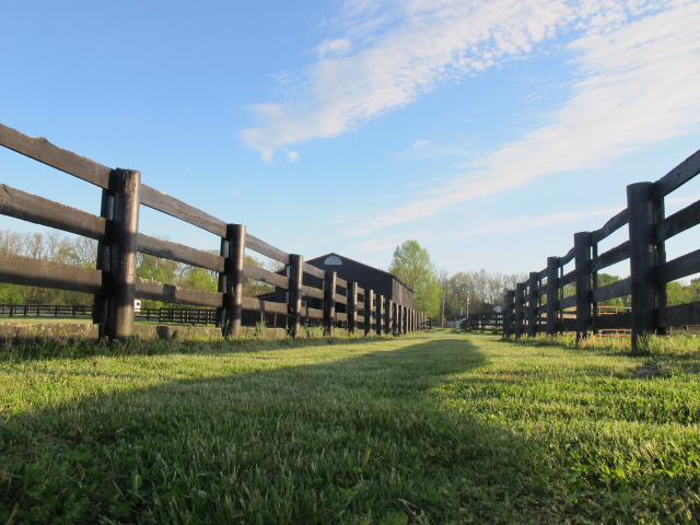 On the Bend of the Elkhorn Creek