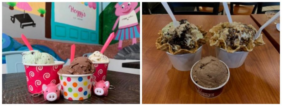 Cookie dough, chocolate, and mint chocolate chip flavored ice cream from both Hoggys (Left) and Coldstone (Right). 