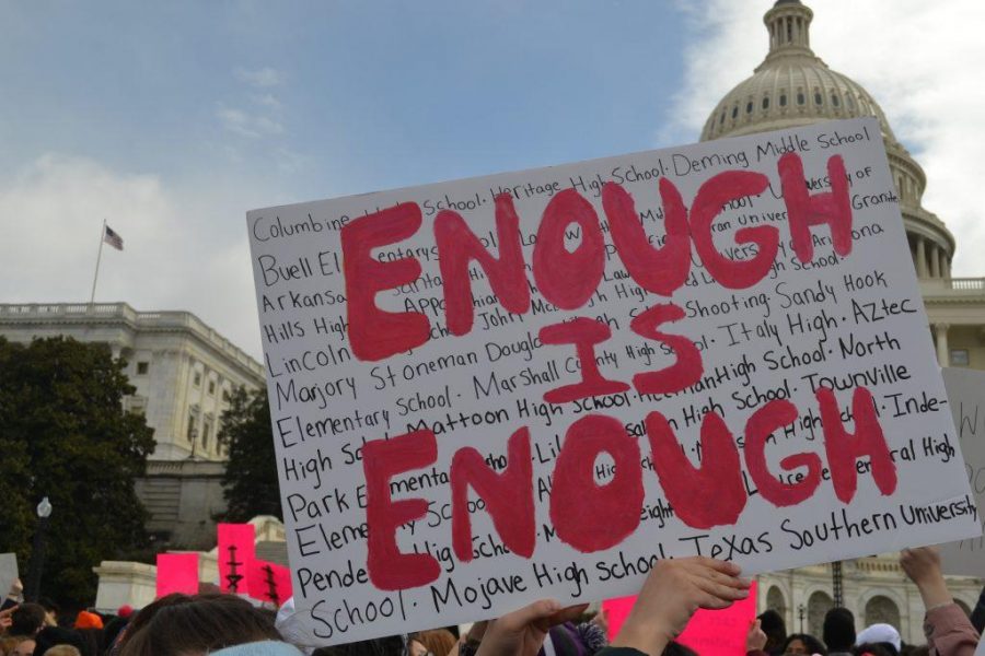 People protesting school shootings. Photo by vistanow.org