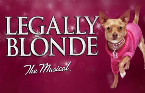 Cover for Legally Blonde the Musical. Photo from Google.