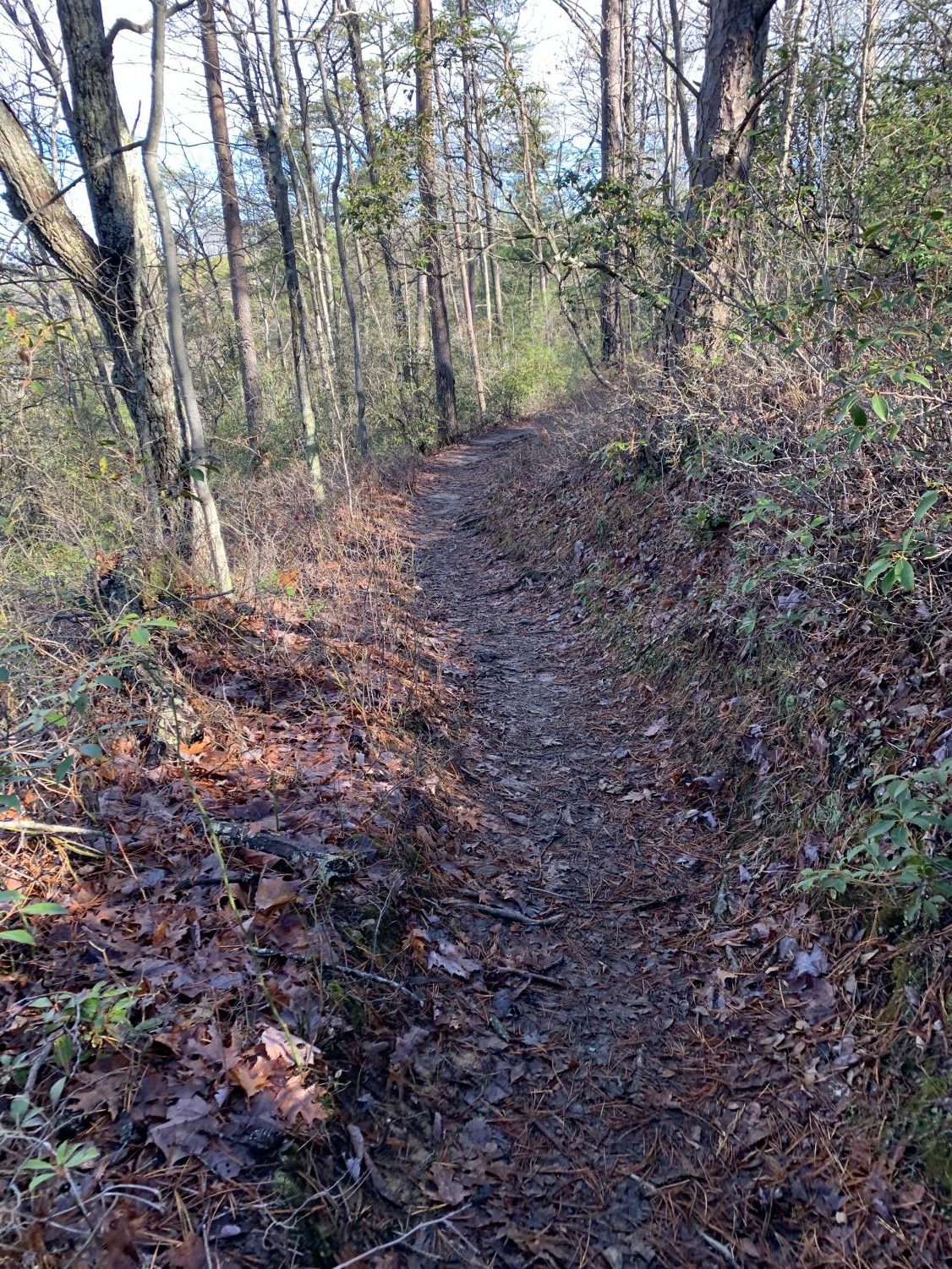 Grays+Arch+Hiking+Trail
