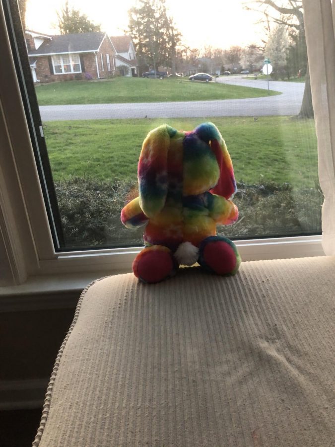This isnt an activity, but people all over Versailles are putting stuffed animals in their windows for little kids to see. Parents are driving their kids around to go on a bear hunt to search for windows with teddy bears. It helps give the young kids something to do so they do not feel trapped in their home. Photo by Kristen Bailey. 