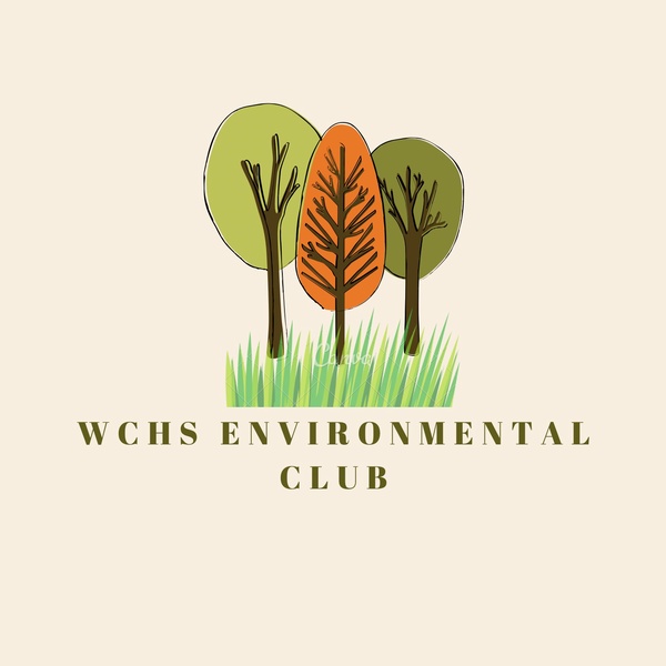 A New Woodford Extracurricular: Environmental Club