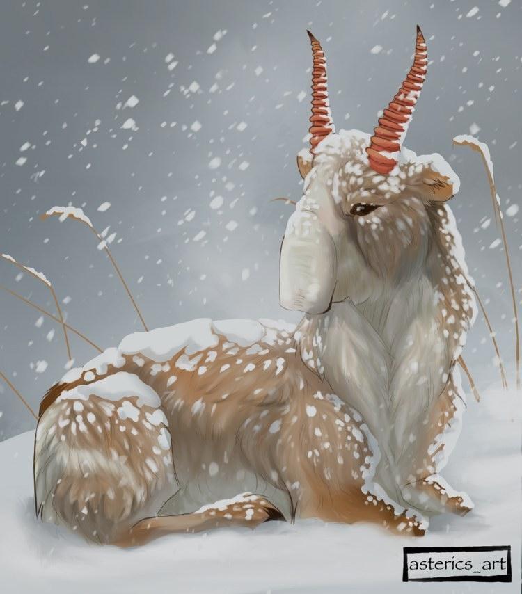 A Saiga Antelope by Sarah Steen. 