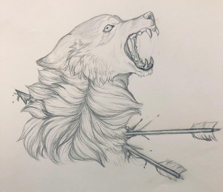 A sketch by Sarah of a wolf. 