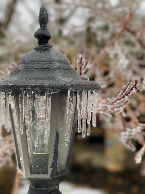 On February 11, 2021, Versailles, Kentucky was hit with the biggest ice storm we have had since 2009. Photo was taken in Versailles, Kentucky, at Natalie Kerr’s house. 