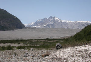 Carroll Glacier in Alaska.