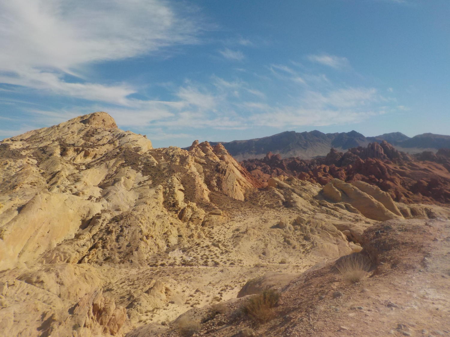 Hiking+Through+the+Wild+Wilderness+of+Nevada