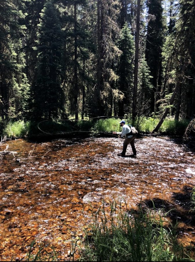 Mike chasing down fish in small streams. 