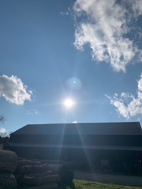 The sun in spring shining brightly over a black barn.