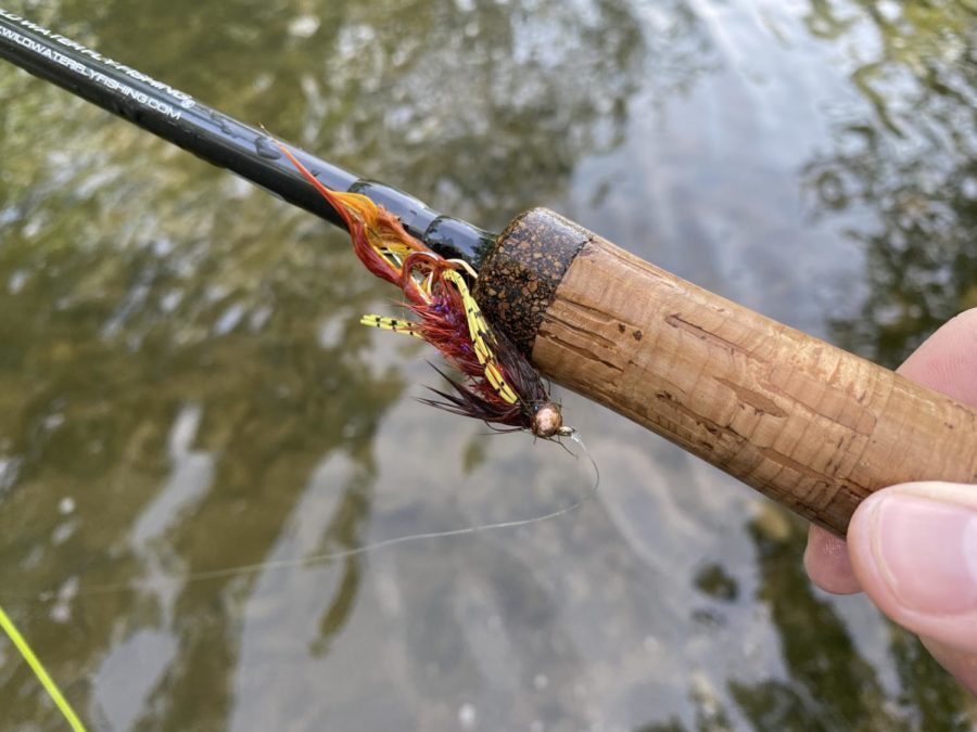 After little success on the streamers, I decided to tie on this red and yellow wooly bugger to try and imitation crawdads I saw scurrying on the bottom. 
