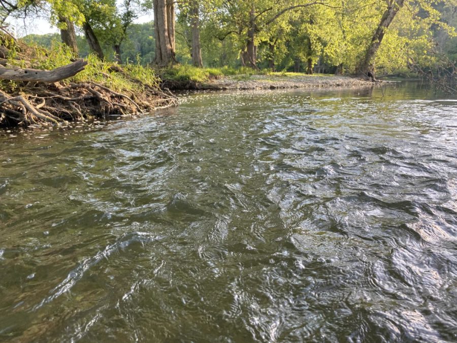 Here is a great example of an eddy, a place where the current swings around and creates an almost whirlpool of bait for fish.