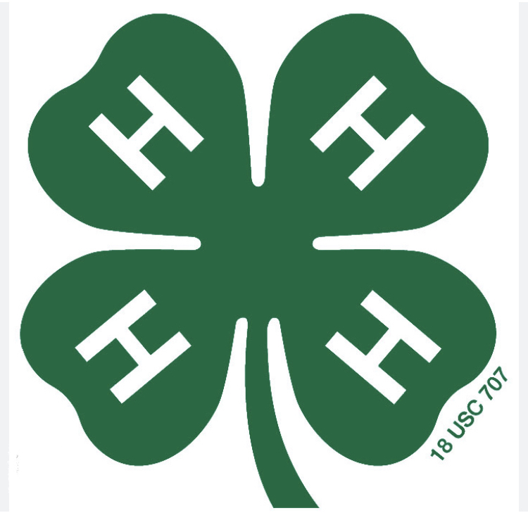 4H, a community for all kids!