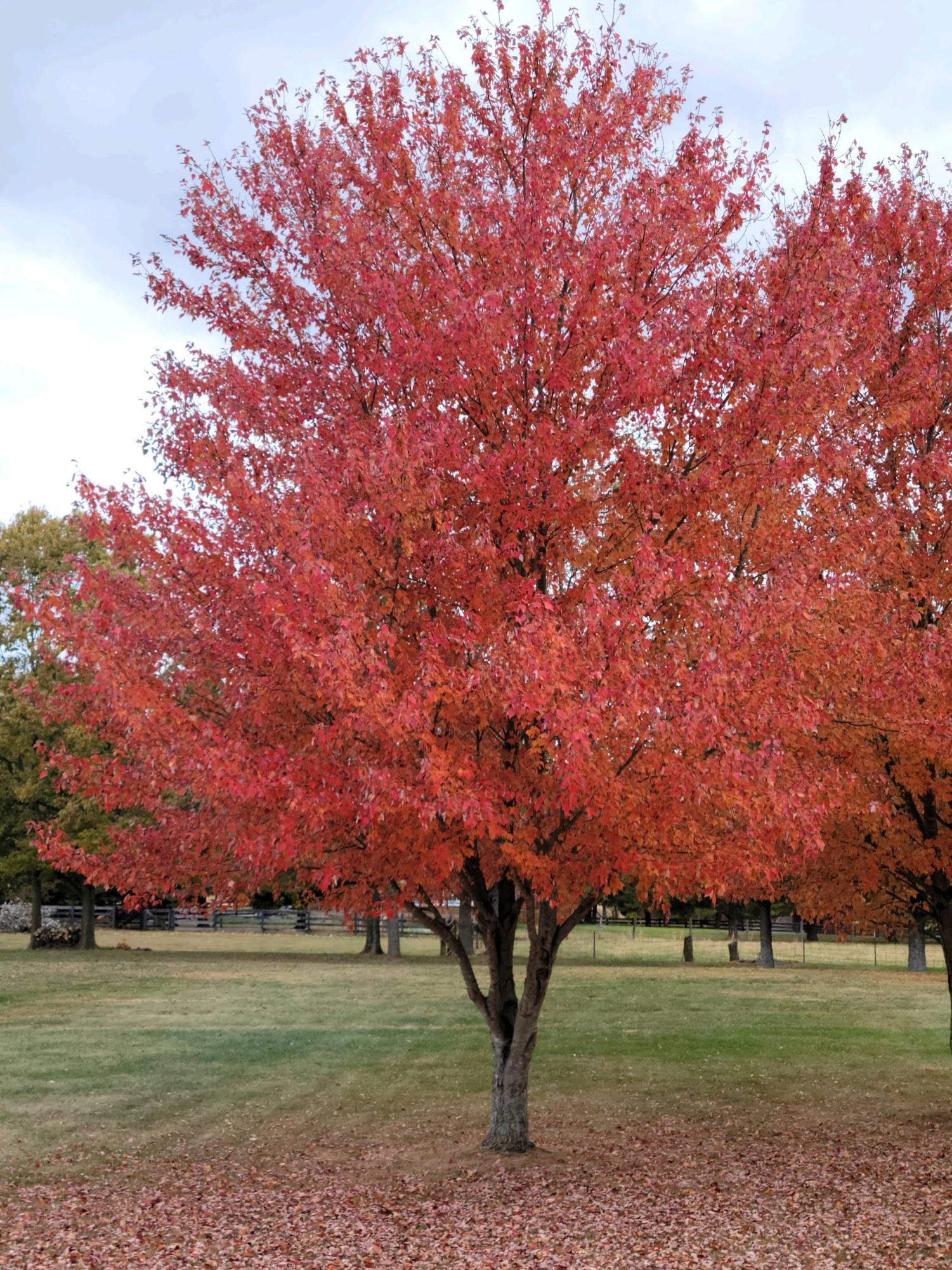 Top Fall Break Vacation Spots