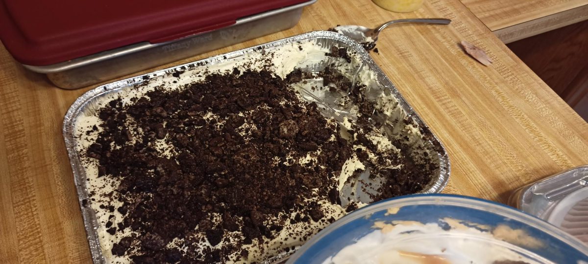 A close up of a dessert that is constantly my favorite, Dirt Cake. Which consists of a variety of whipped cream, some cream cheese, and a layer of crumbled oreos on top giving it's name of "Dirt Cake" 