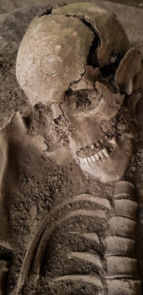 An Introduction To Anthropology
