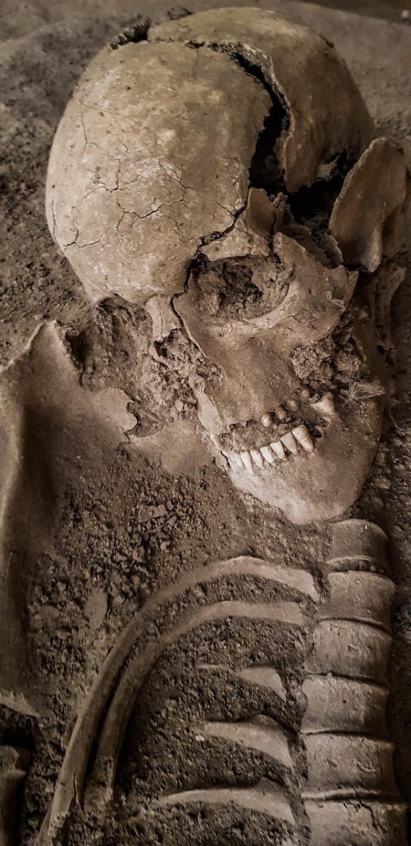 An Introduction To Anthropology