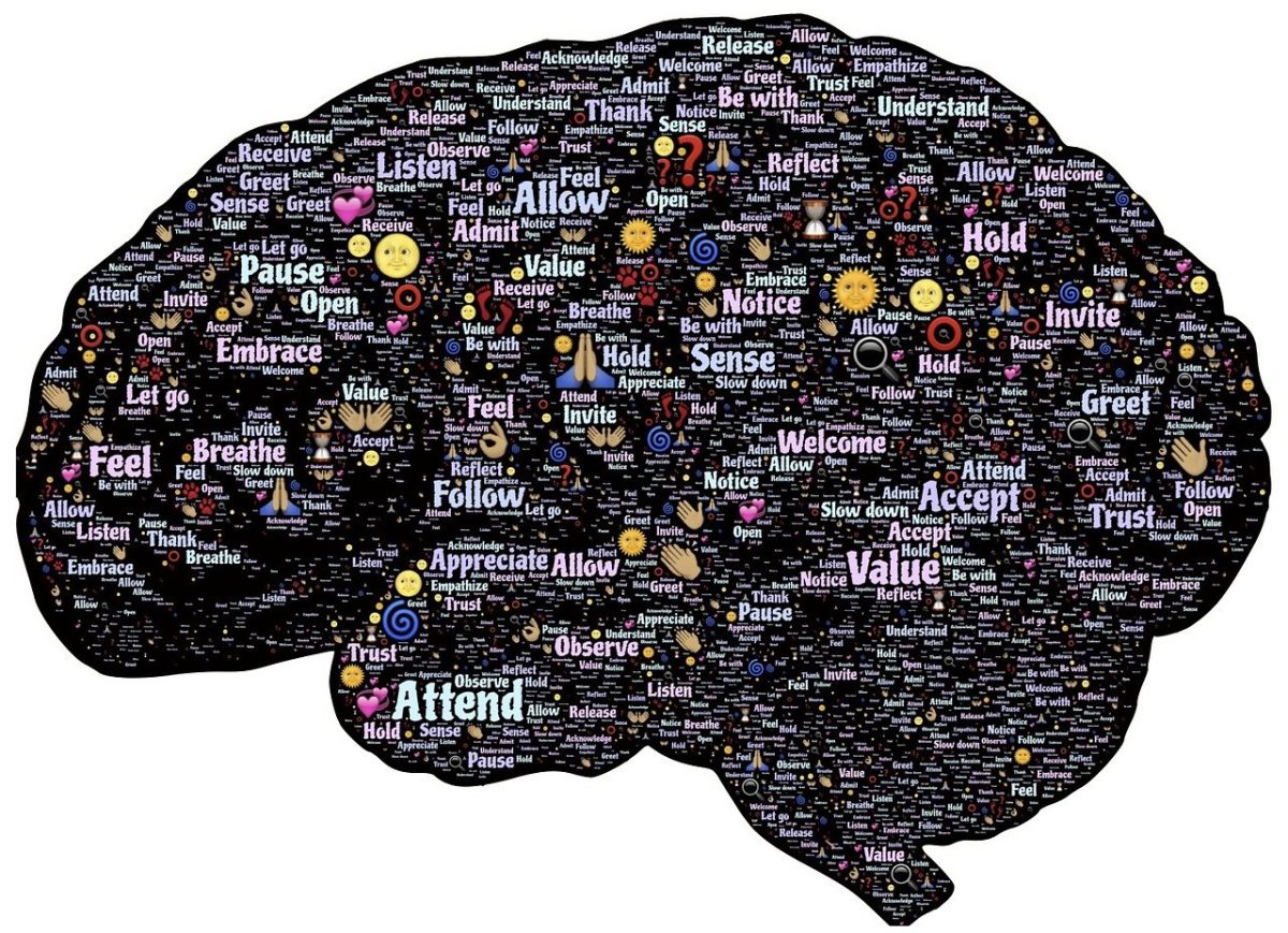 When Everything Becomes Brain Rot
