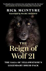 Cover of The Reign of Wolf 21