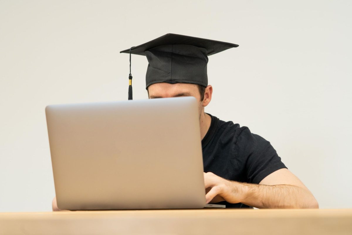 Free Stock Image